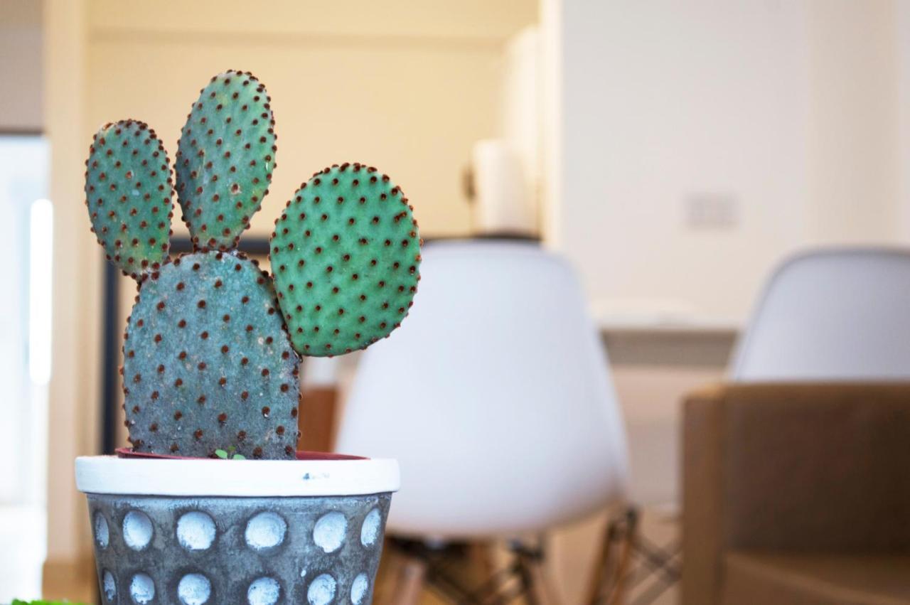 Appartement Cactus 2 à Salta Extérieur photo