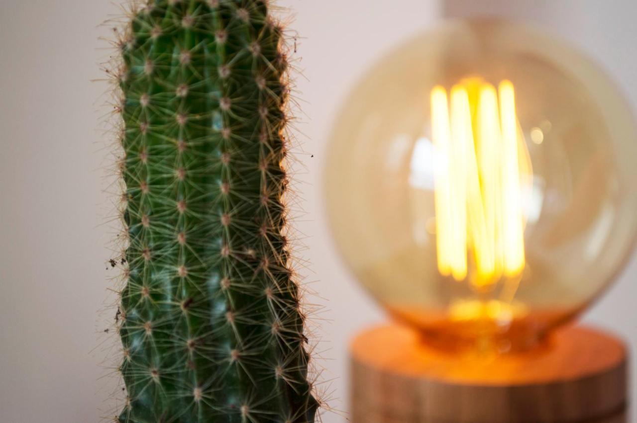 Appartement Cactus 2 à Salta Extérieur photo